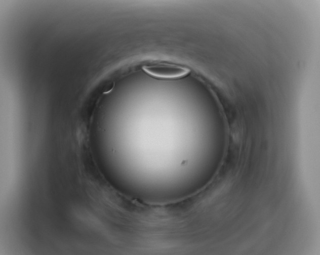 X0000113881495200910011122