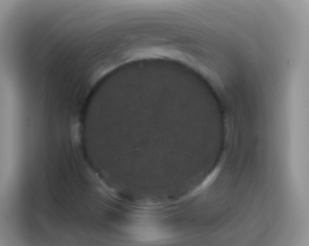 X0000113881497200910011122