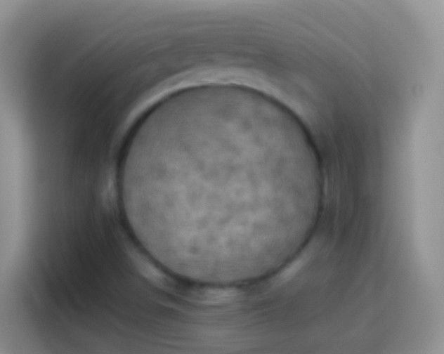 X0000113881498200910011122