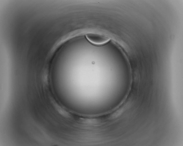 X0000113881499200910011122