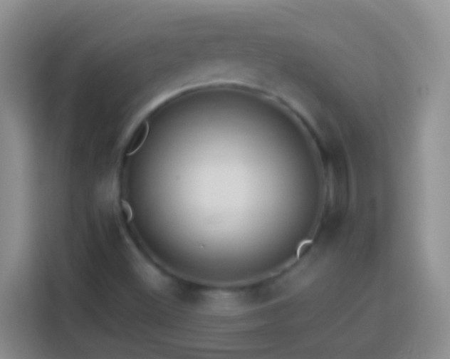 X0000113881500200910011122