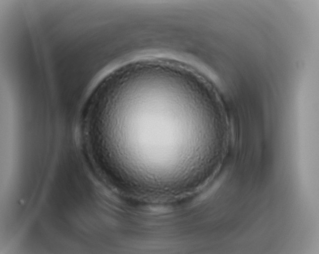 X0000113881501200910011122