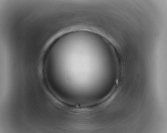 X0000113881502200910011122