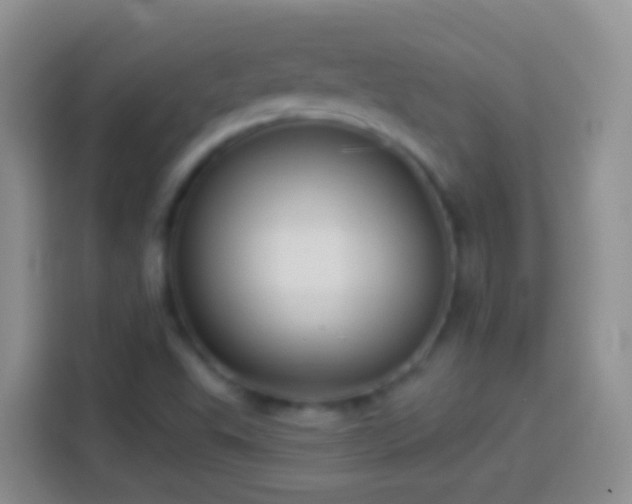 X0000113881503200910011122