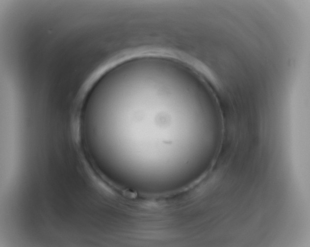 X0000113881504200910011122