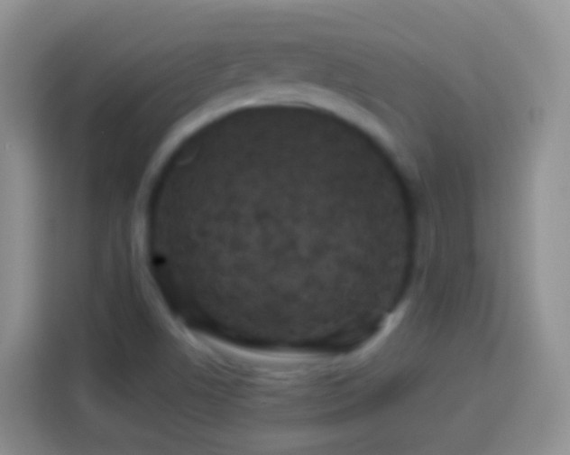 X0000113881506200910011122