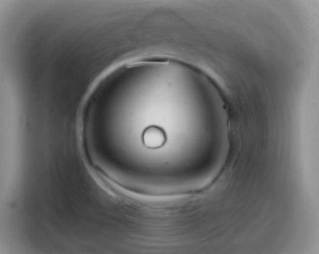 X0000113881508200910011122