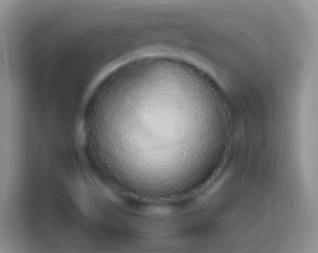 X0000113881509200910011122