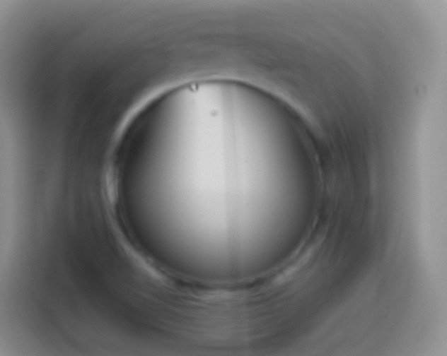 X0000113881510200910011122
