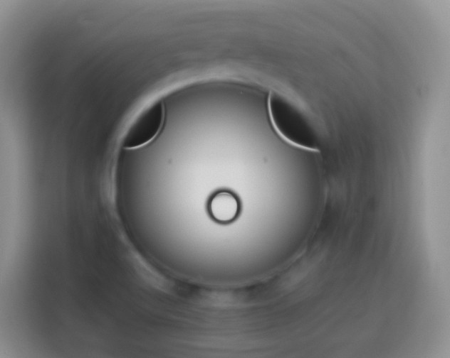 X0000113881512200910011122