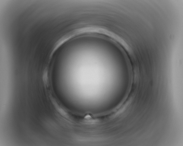 X0000113881513200910011122