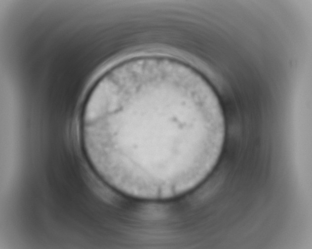 X0000113881514200910011122