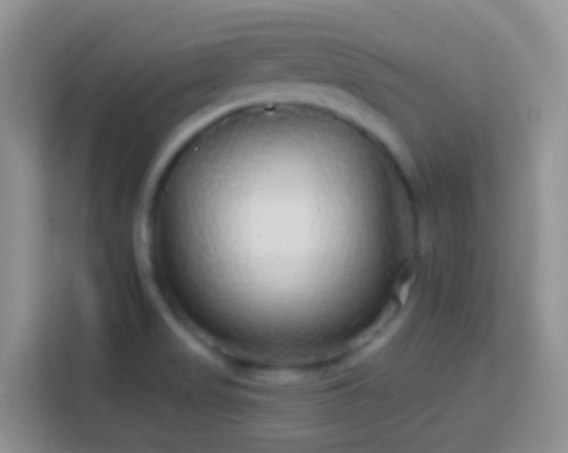 X0000113881517200910011122