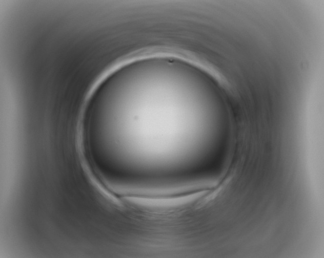 X0000113881518200910011122