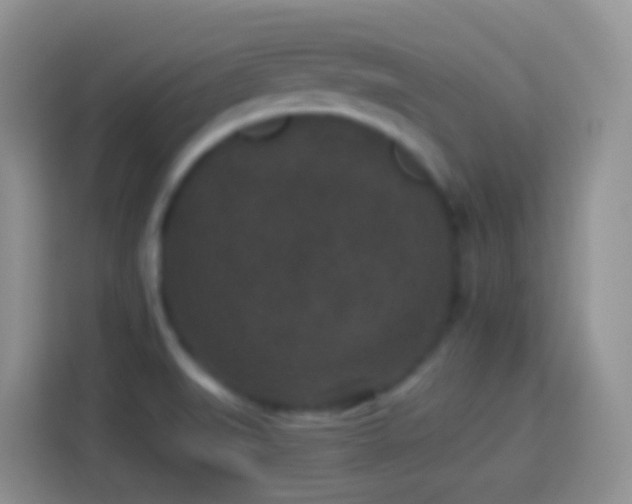 X0000113881519200910011122