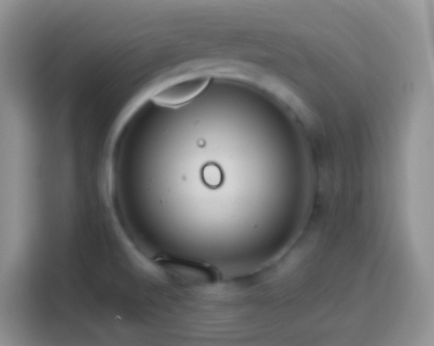 X0000113881520200910011122