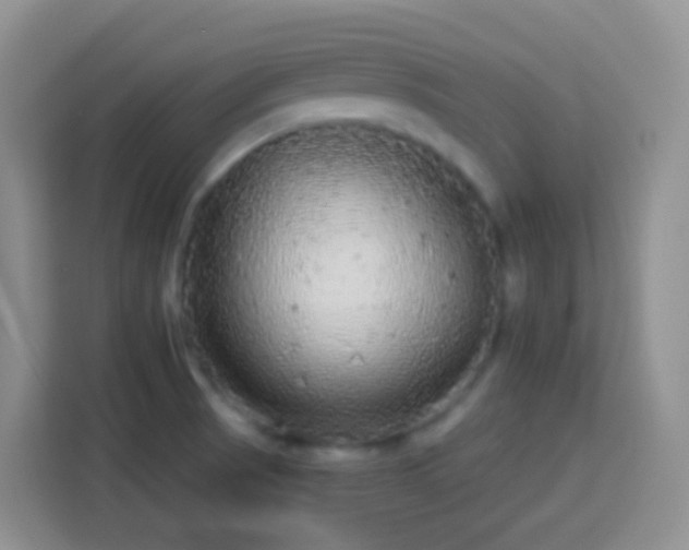 X0000113881521200910011122