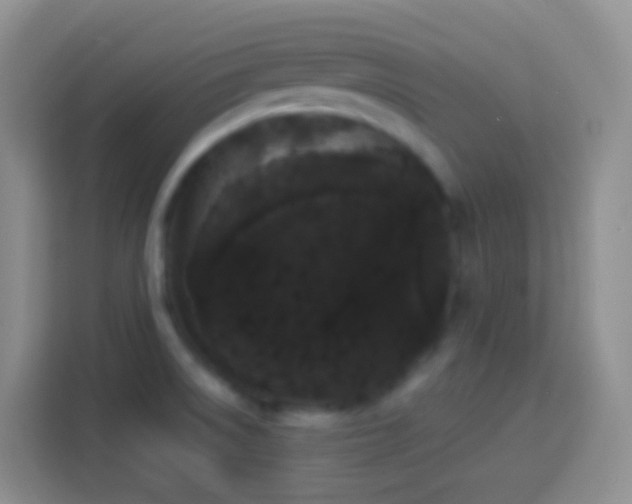 X0000113881522200910011122