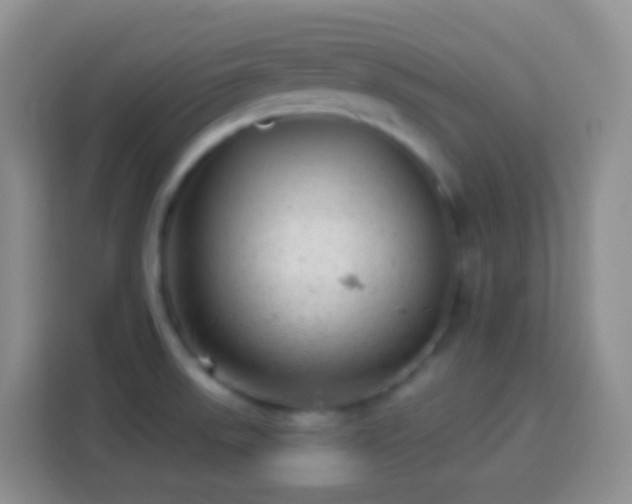 X0000113881523200910011122