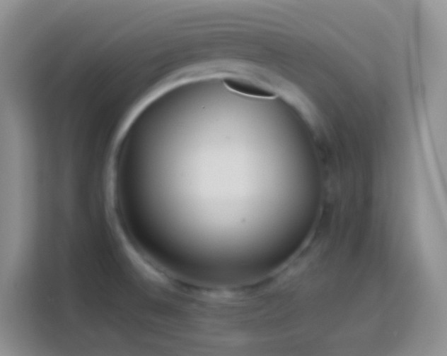 X0000113881524200910011122