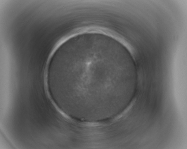 X0000113881525200910011122