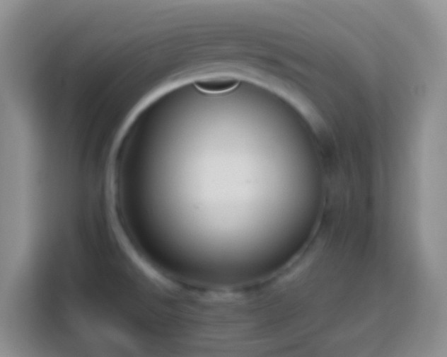 X0000113881526200910011122