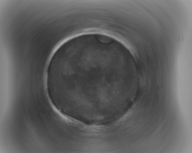 X0000113881527200910011122