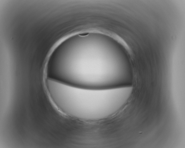 X0000113881528200910011122