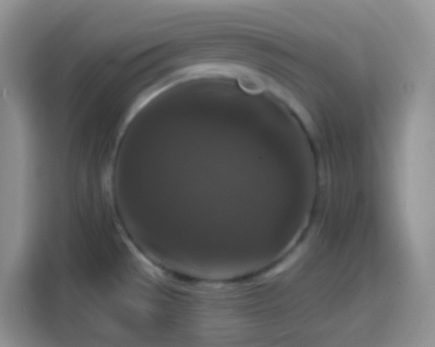 X0000113881529200910011122
