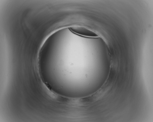 X0000113881532200910011122