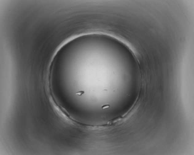 X0000113881534200910011122