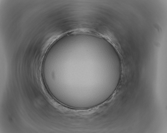 X0000113880001200910081756