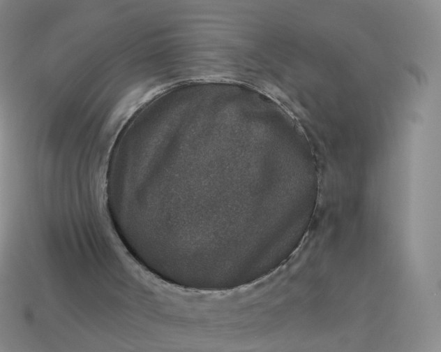 X0000113880002200910081756