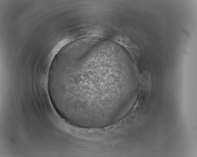 X0000113880003200910081756