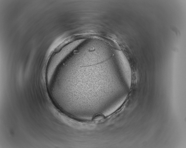 X0000113880004200910081756