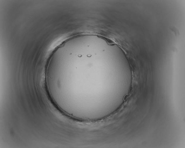 X0000113880005200910081756