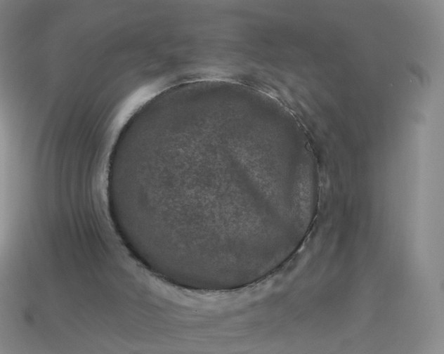 X0000113880006200910081756