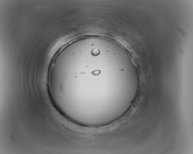 X0000113880007200910081756