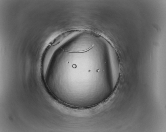 X0000113880008200910081756