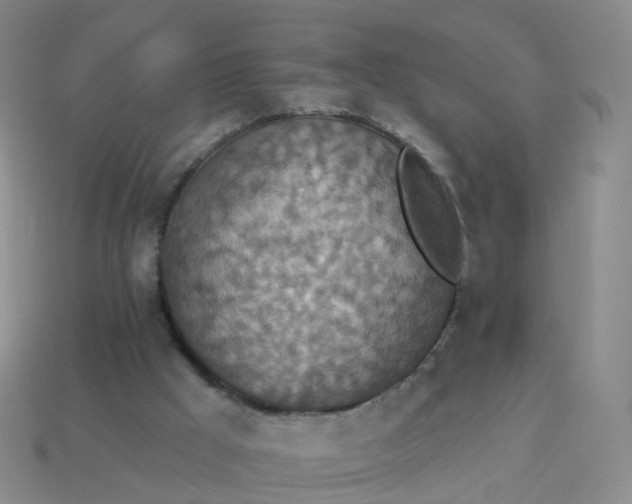 X0000113880009200910081756