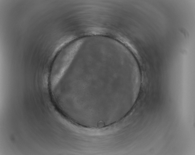 X0000113880010200910081756