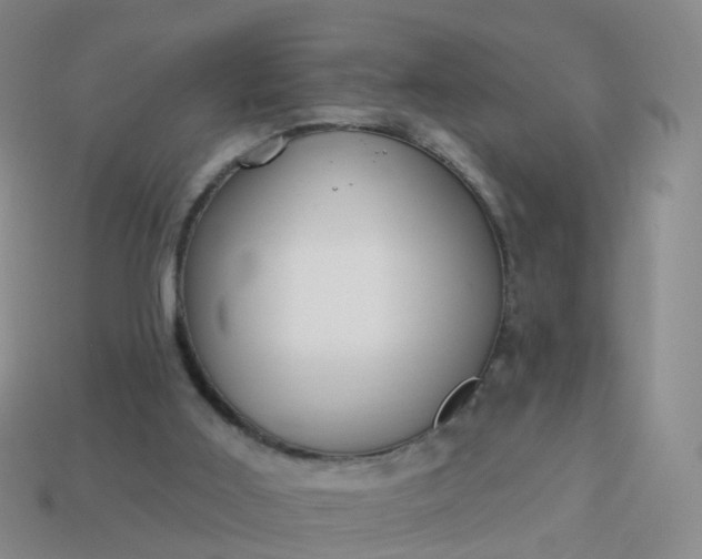 X0000113880011200910081756