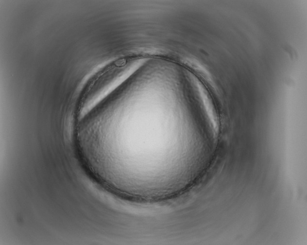 X0000113880012200910081756