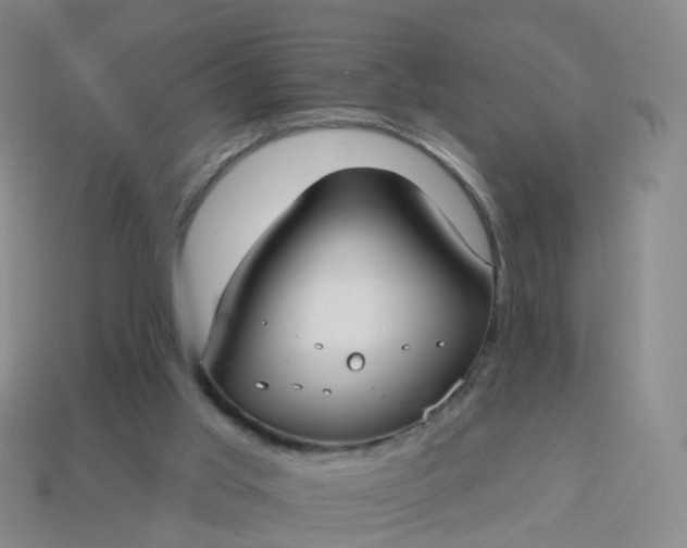 X0000113880013200910081756