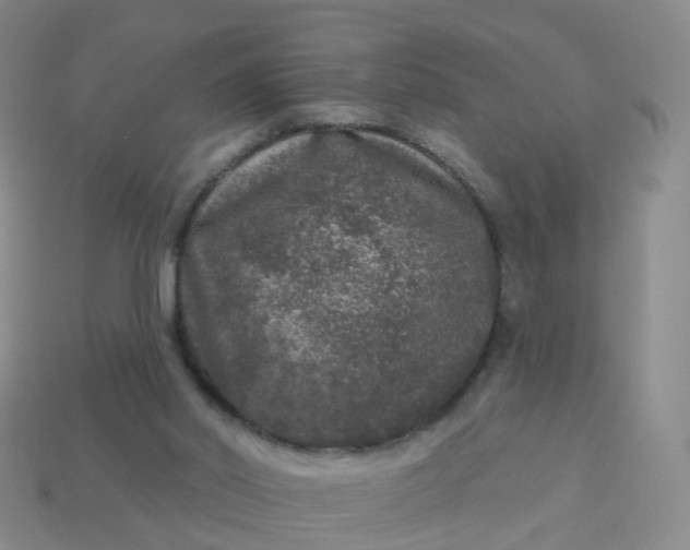 X0000113880014200910081756