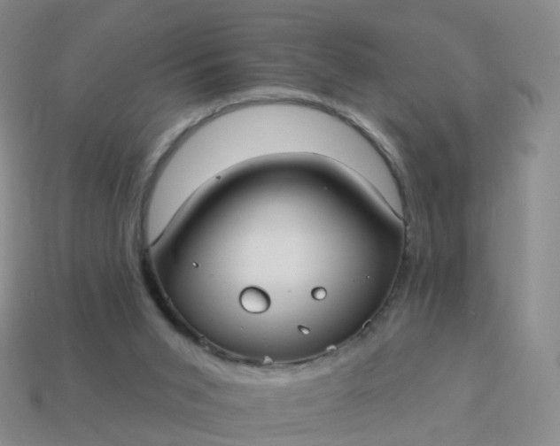 X0000113880015200910081756