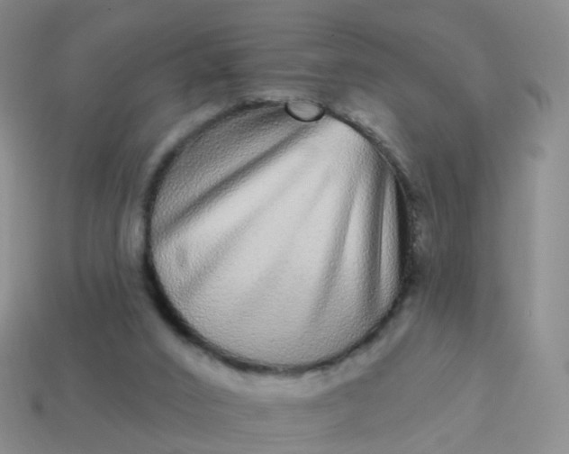 X0000113880016200910081756