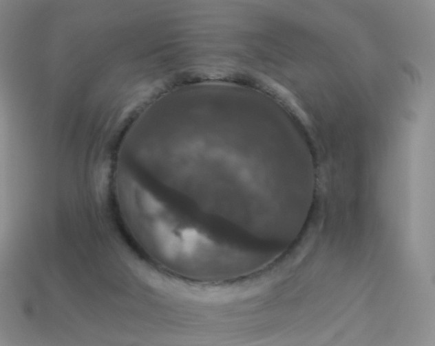 X0000113880018200910081756