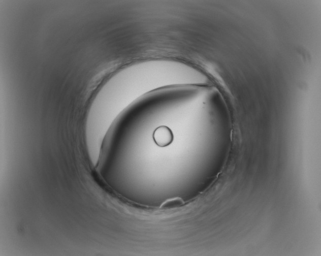 X0000113880019200910081756