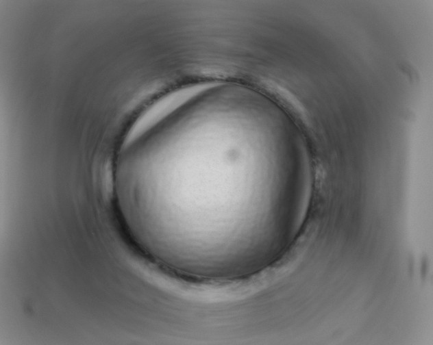 X0000113880020200910081756